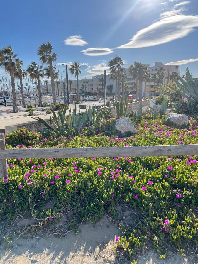 Port Barcares Vue Port Et Mer Le Barcarès Dış mekan fotoğraf