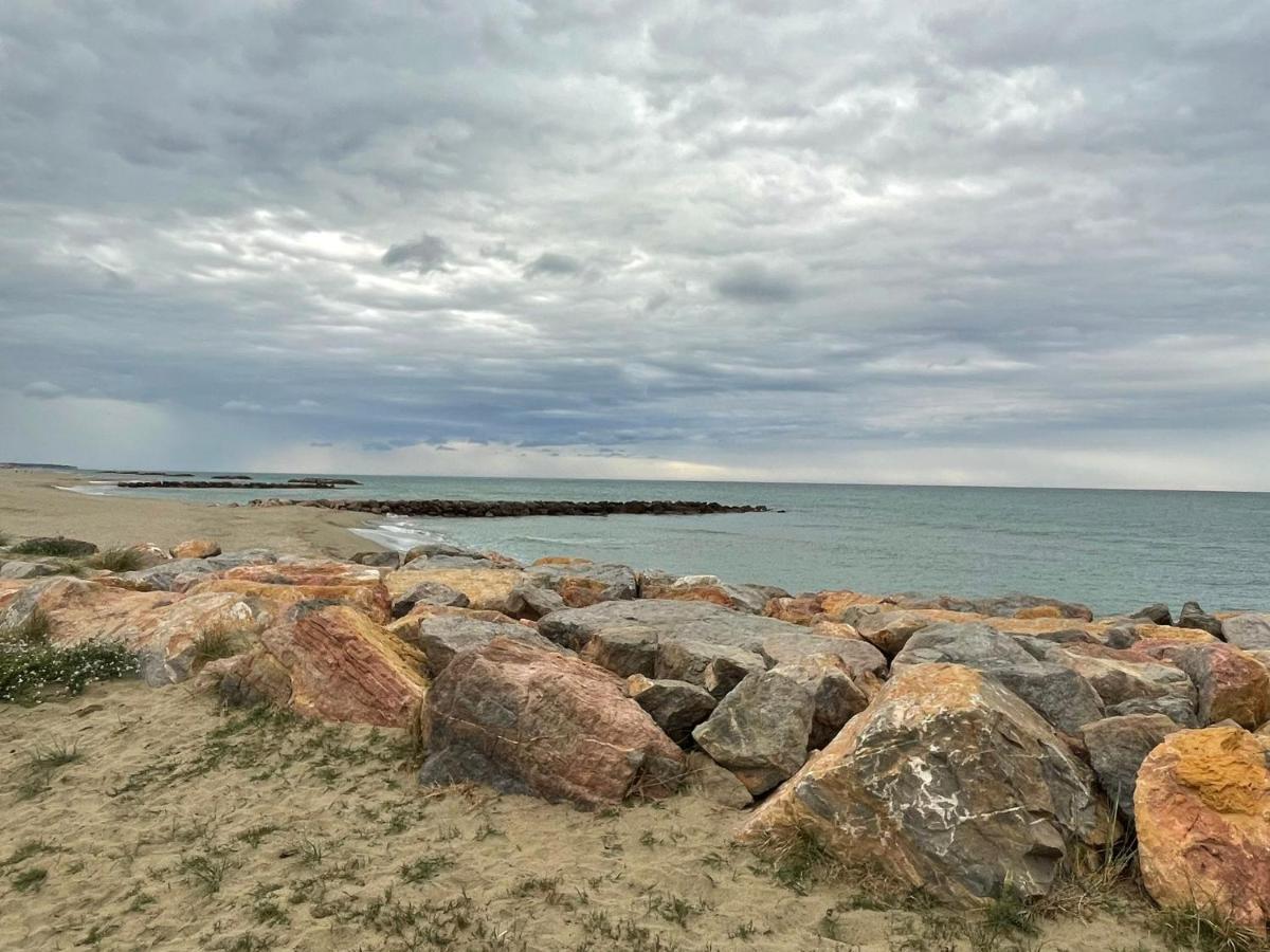 Port Barcares Vue Port Et Mer Le Barcarès Dış mekan fotoğraf